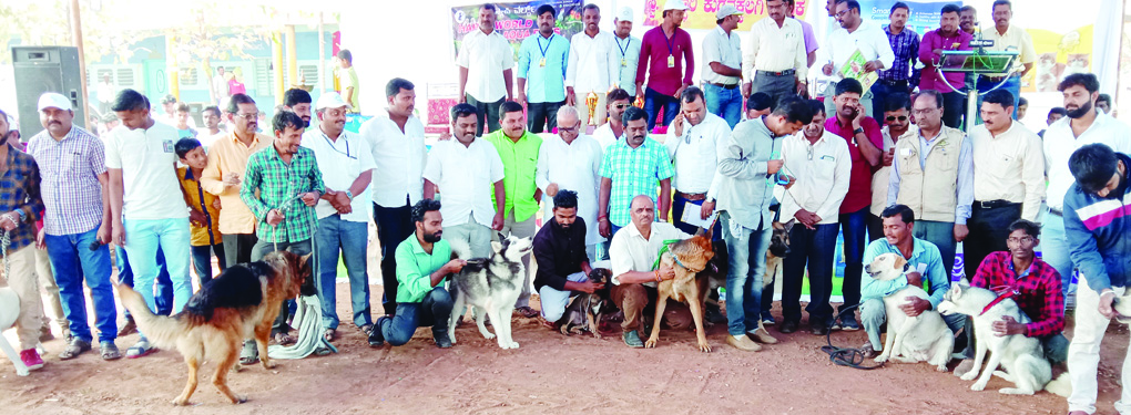 ಶ್ರೀ ಸಿದ್ದೇಶ್ವರ ದೇವರ 50ನೇ ಜಾತ್ರಾ ಮಹೋತ್ಸವ